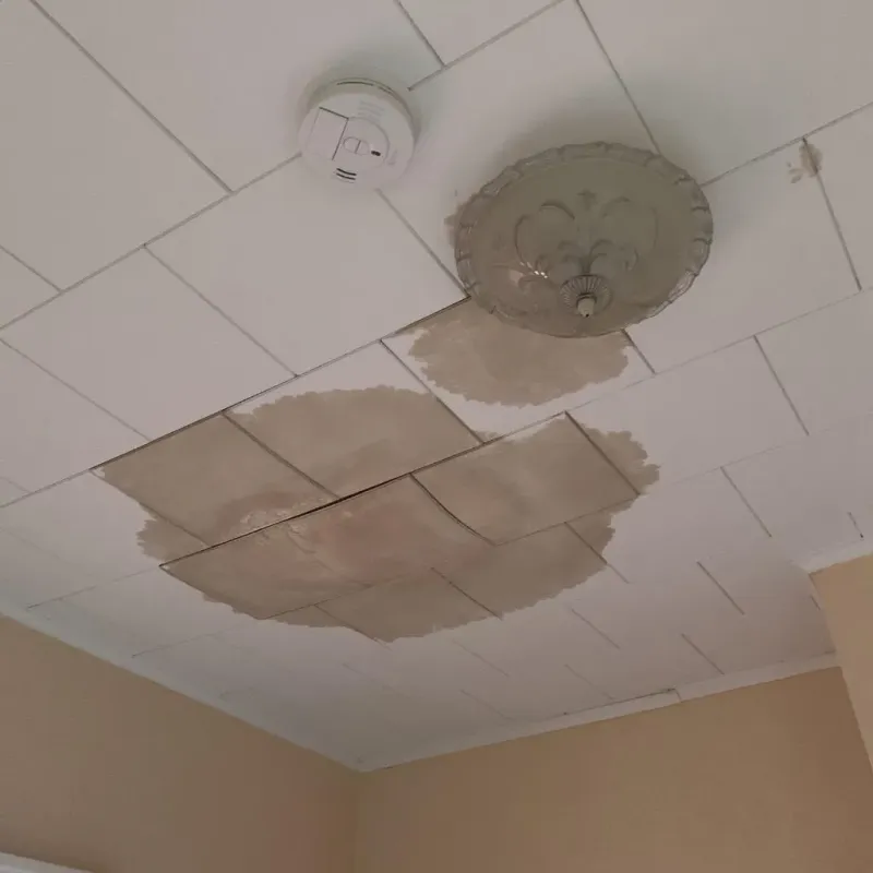Ceiling Water Damage Repair in Upland, CA
